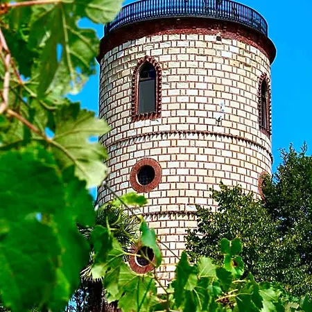 بيت خشبي Torre Veglio
