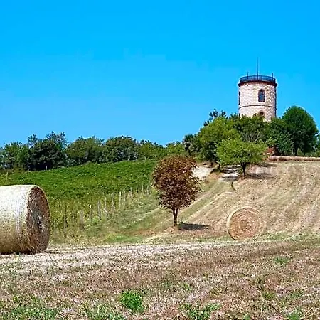 Torre Veglio بيت خشبي Terruggia